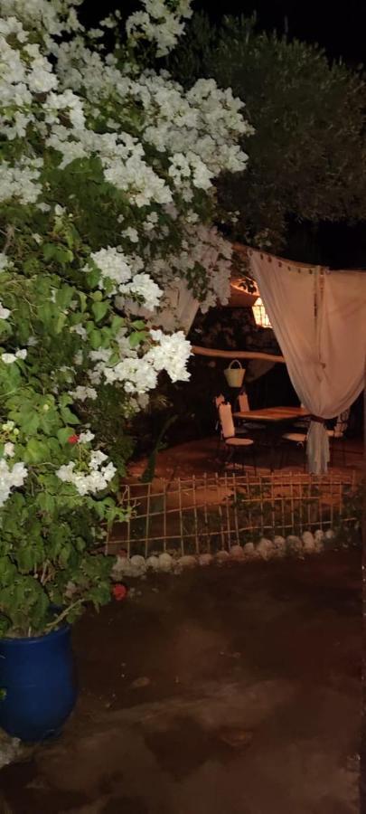 Dar Tadout Guest House Ait Ourir Luaran gambar