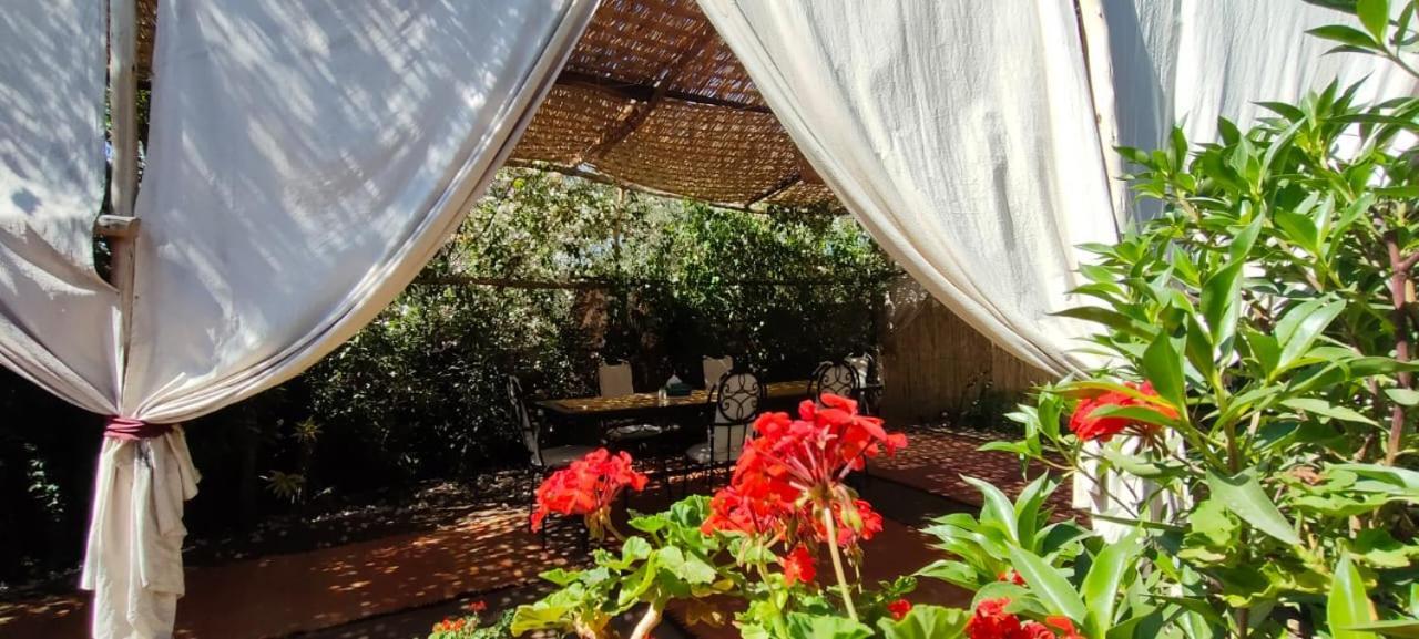 Dar Tadout Guest House Ait Ourir Luaran gambar